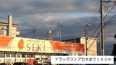 ドラッグストアセキまで160m