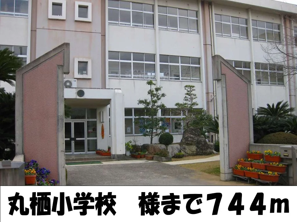 丸栖小学校様まで744m