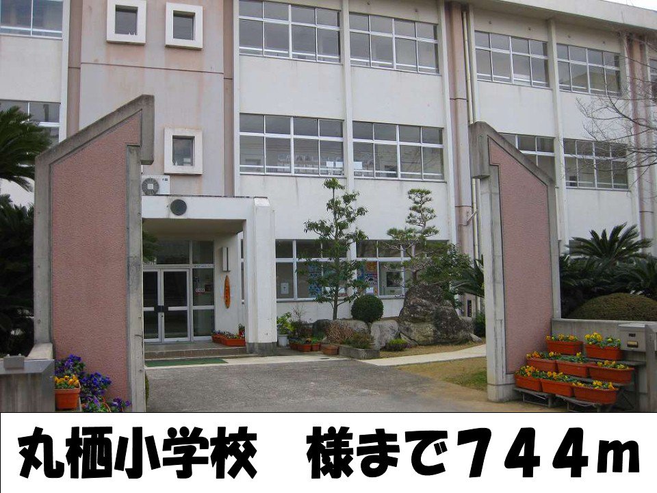 丸栖小学校様まで744m