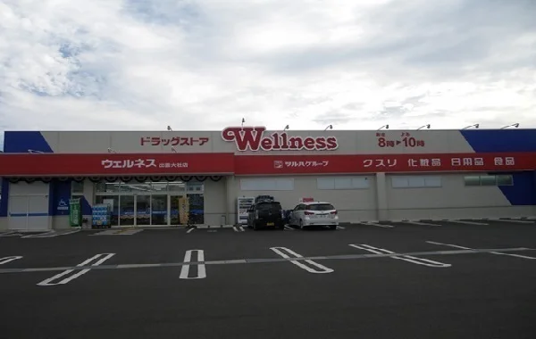 ウェルネス出雲大社店まで1100m