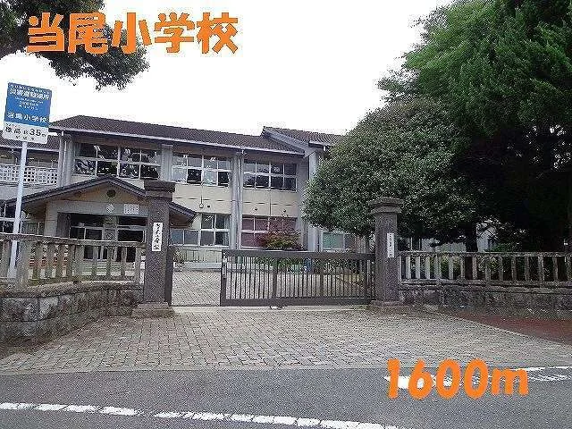 当尾小学校まで1600m