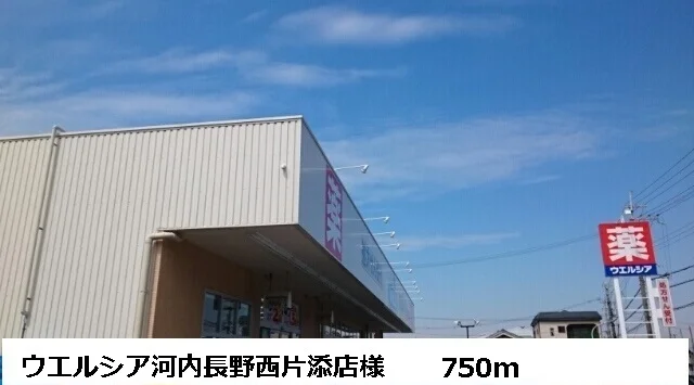 ウエルシア河内長野西片添店様まで750m