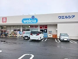 ウェルシア江戸川本一色店まで145m