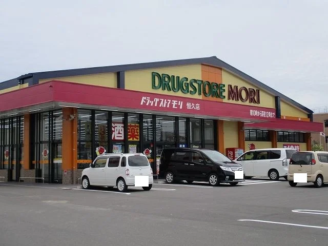 ドラッグストアモリ恒久店まで700m