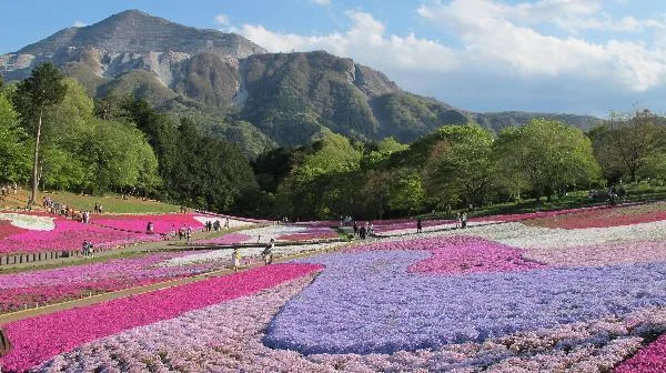 羊山公園まで1700m