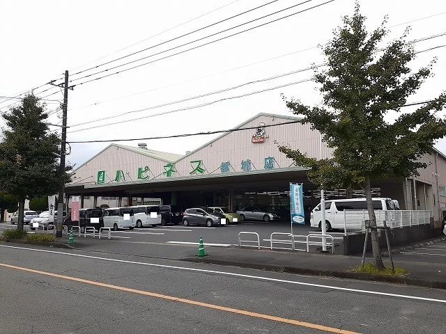 ハピネス都城店まで750m