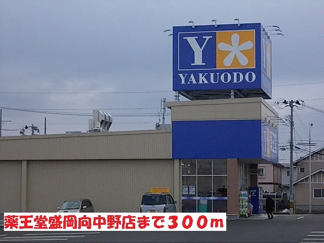 薬王堂盛岡向中野店まで300m
