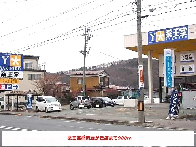 薬王堂盛岡緑が丘店まで900m