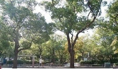 高松中央公園さんまで2500m