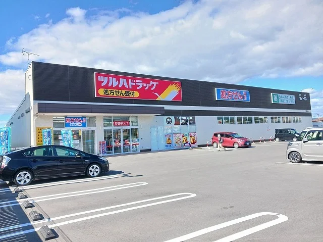 ツルハドラッグ大善寺店まで510m