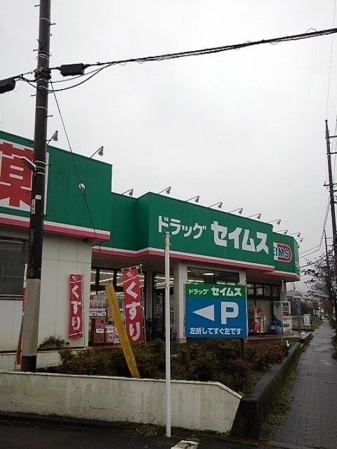 セイムスあきる野大久野店まで1100m