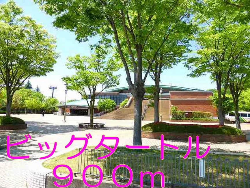 ビッグタートルまで900m