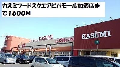 カスミフードスクエアまで1600m