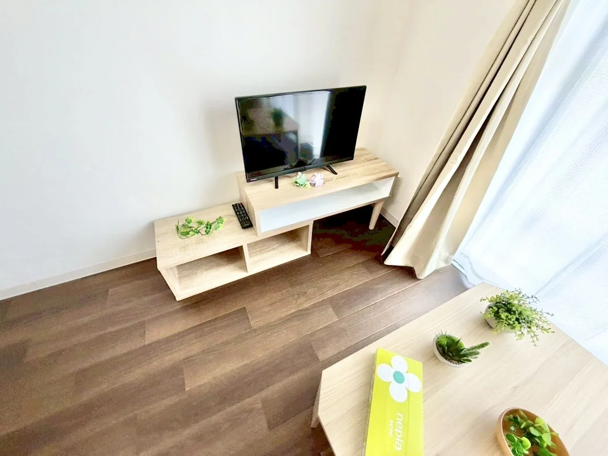※撮影用の観察植物・食器調理器具・雑貨類等はございません。※写真は現況優先