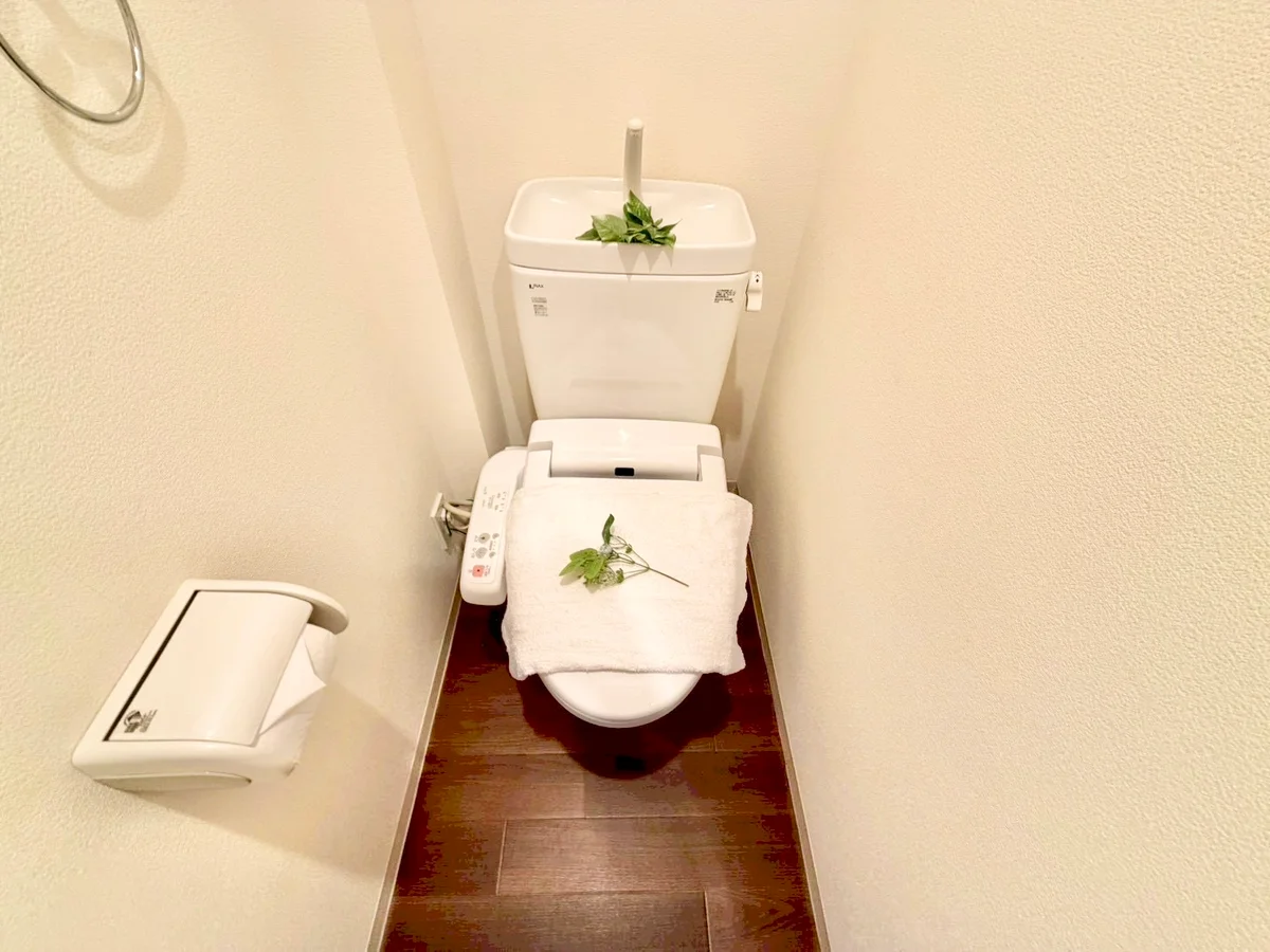 ※撮影用の観察植物・食器調理器具・雑貨類等はございません。※写真は現況優先