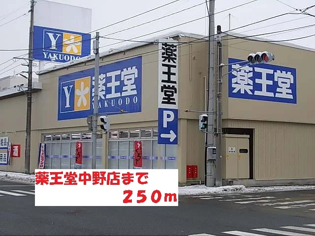薬王堂中野店まで250m