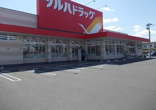 ツルハドラッグ八戸小中野店まで1055m