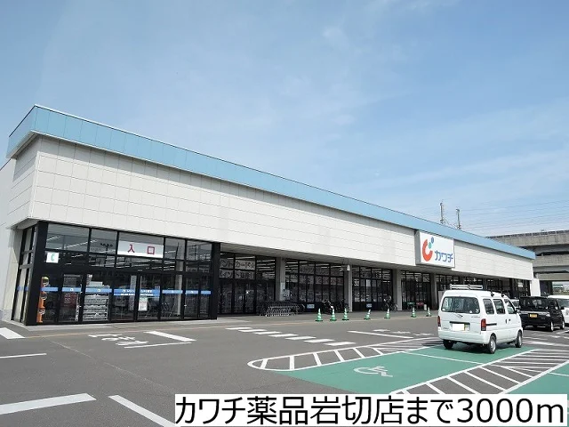 カワチ薬品岩切店まで3000m