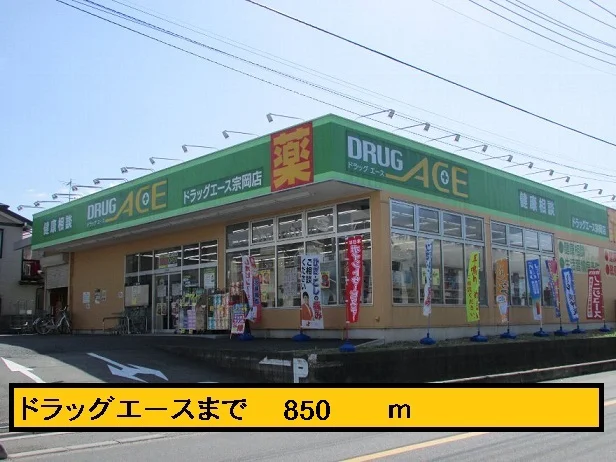 ドラッグエースまで850m