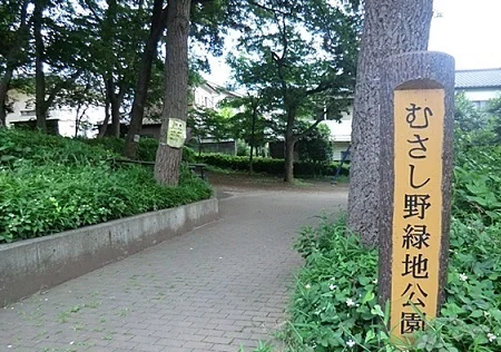 むさし野緑地公園まで900m