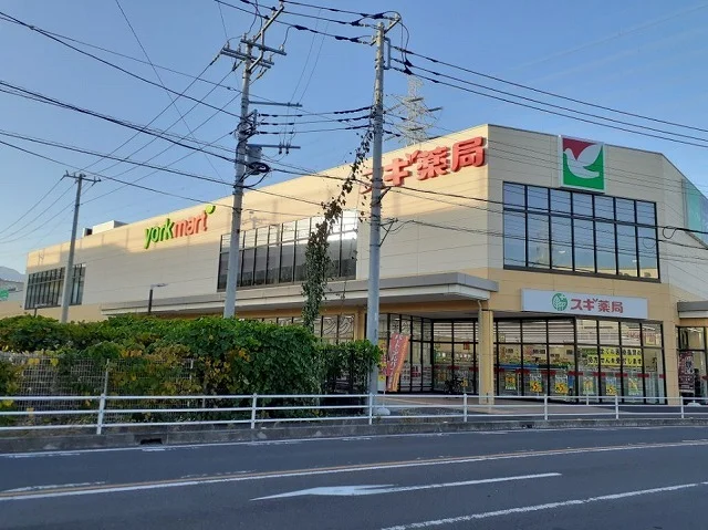 ヨークマート伊勢原成瀬店まで850m