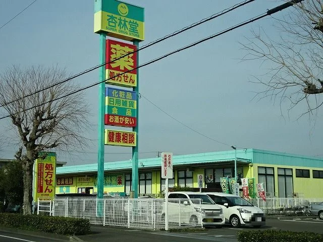 杏林堂　田沼店まで1100m