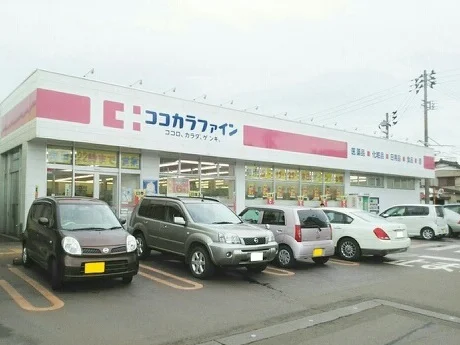 ココカラファインまで1000m