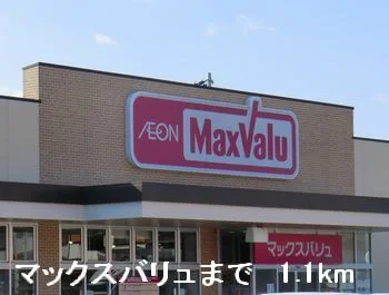マックスバリュまで1100m