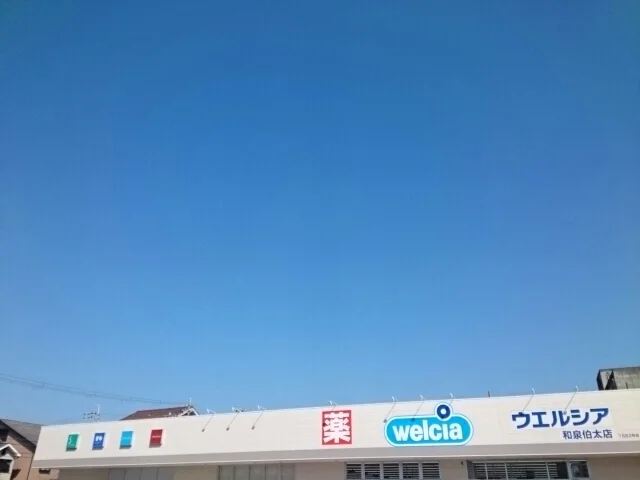 ウエルシア様まで220m
