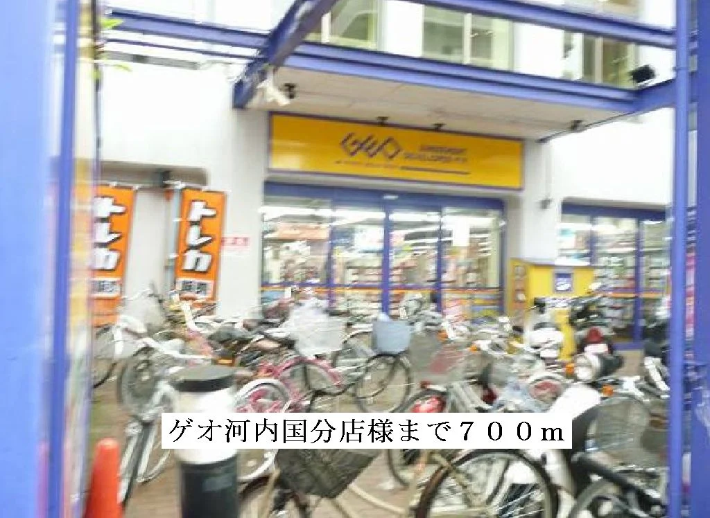 ゲオ河内国分店まで700m