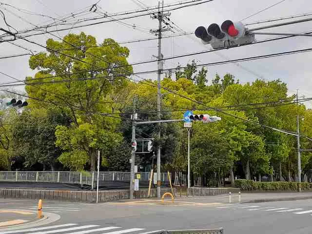 蓮池裏公園まで716m