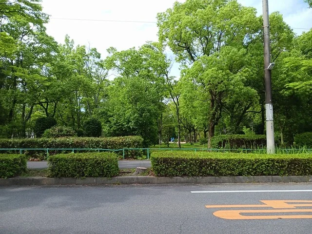 藤沢台公園まで1319m