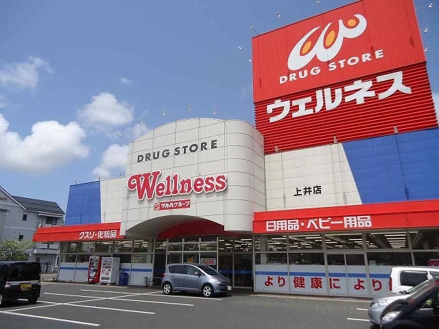 ウェルネス上井店まで500m