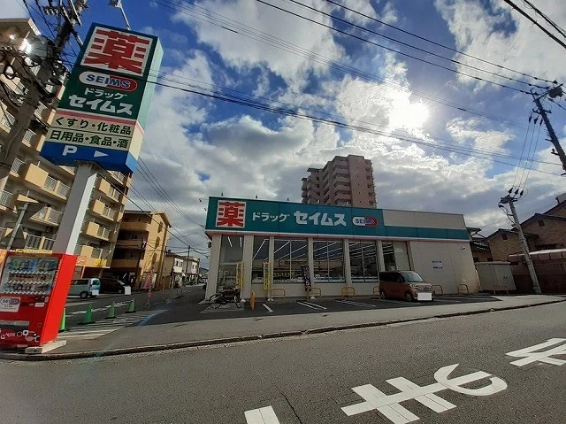 セイムス　金池南店まで600m