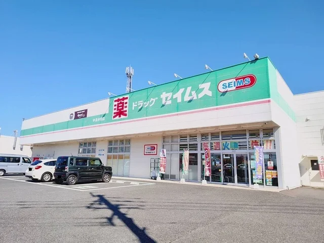 セイムス 中津沖代店まで1100m