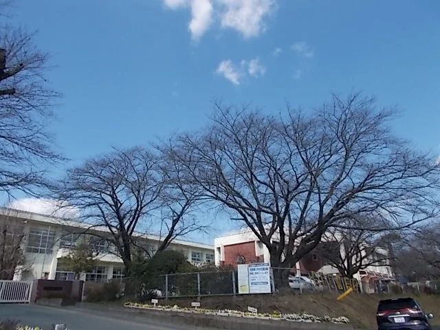 南ヶ丘小学校まで200m