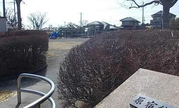 原宿公園まで147m