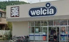 ウエルシア鎌倉岩瀬店まで590m