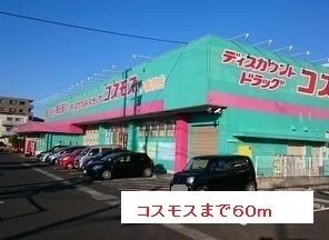 コスモスまで60m