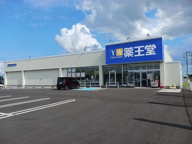 薬王堂　茨城八千代店まで2100m