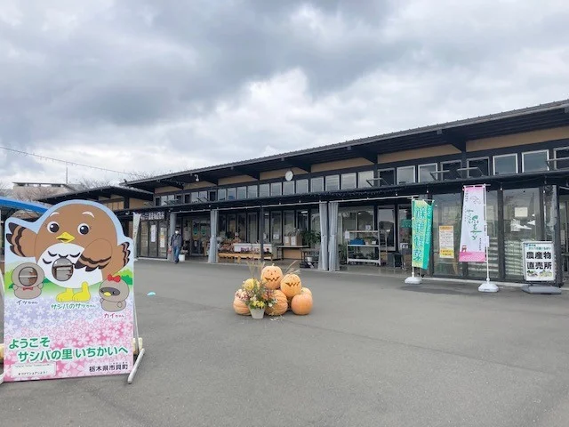 道の駅　いちかいまで1100m