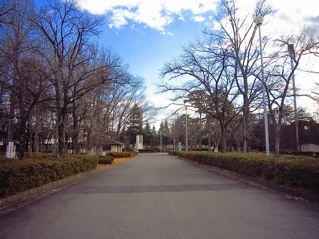 駒場公園まで653m