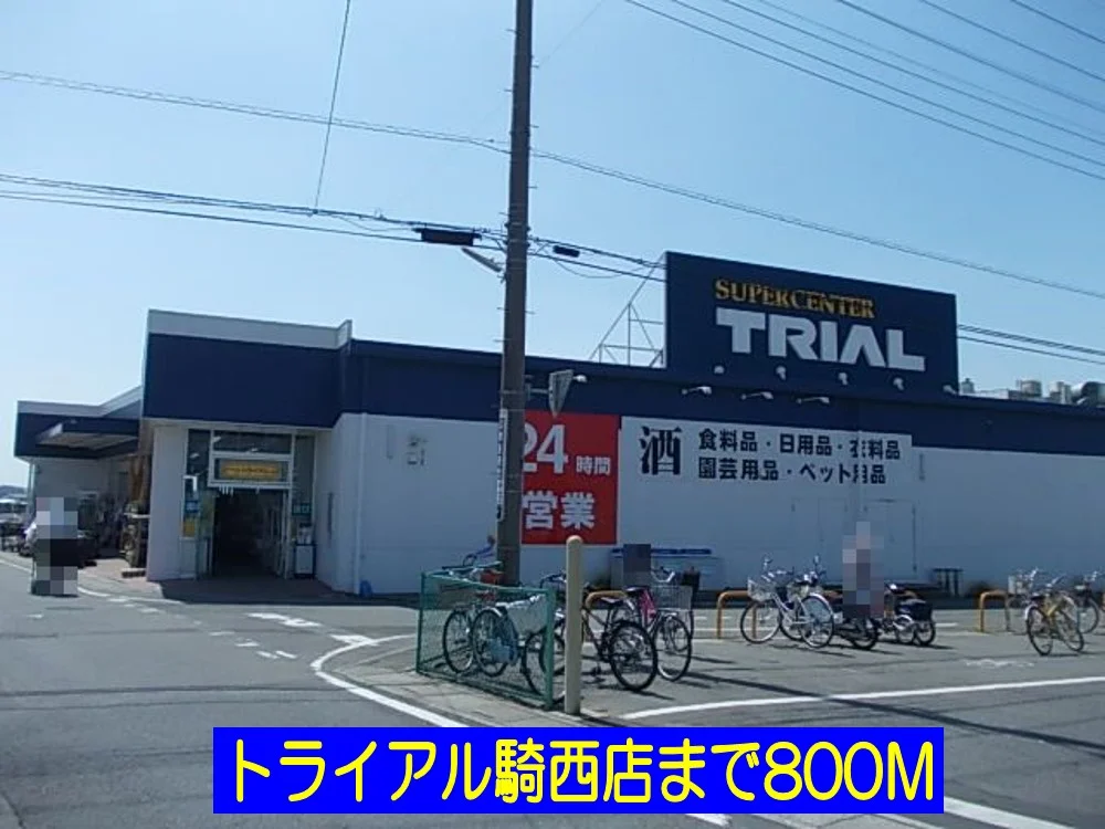 トライアル騎西店まで800m