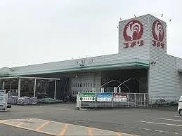 コメリハード＆グリーン児玉店まで1300m