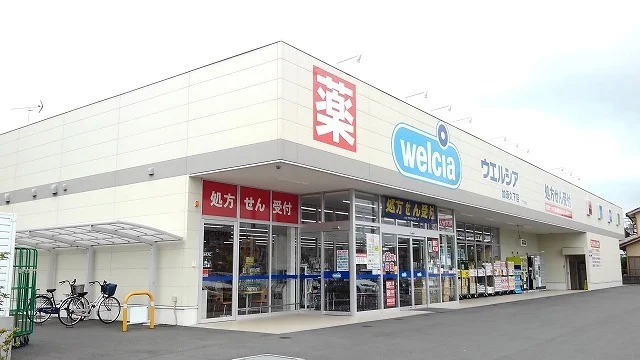 ウエルシア加須久下店まで1120m