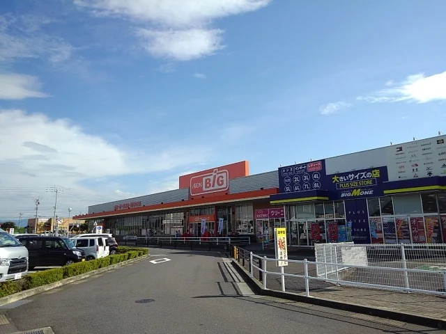 ザ・ビッグ丸亀城南店まで1000m