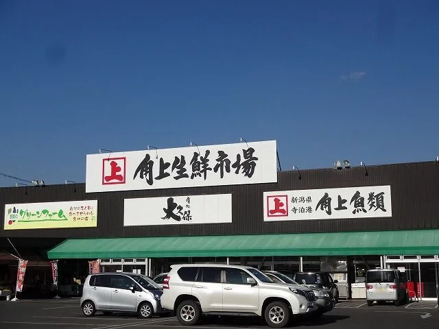 角上魚類　諏訪店まで800m