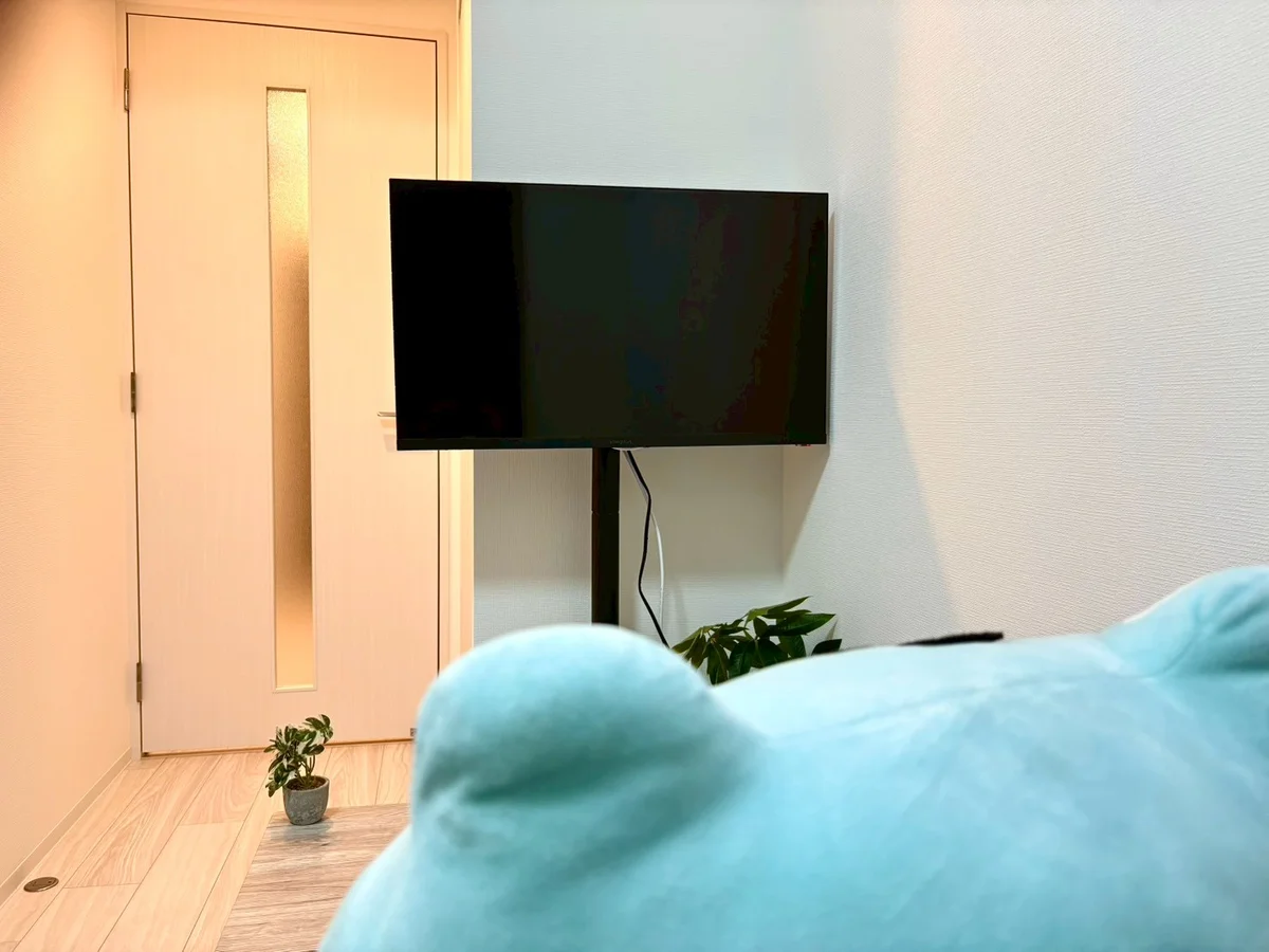 テレビも見やすくなっております♪