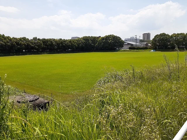 青山公園まで250m