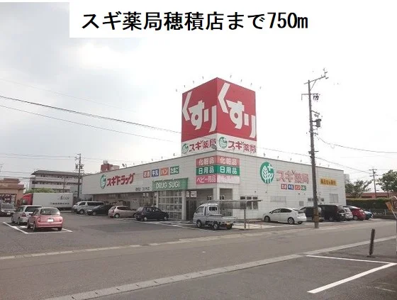 スギ薬局　穂積店まで750m